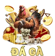Ưu đãi chào mừng
